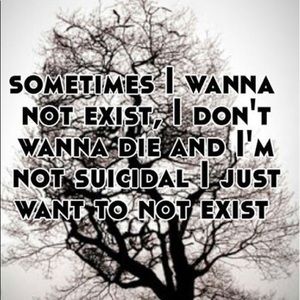 Meet your Posher, Betsy